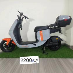 ელექტრო ველოსიპედი 800W ფლორა ჰაუსი